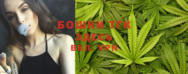 экстази Няндома