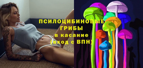 герыч Новодвинск