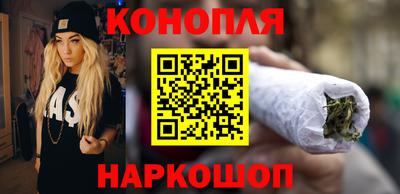 трава Кингисепп