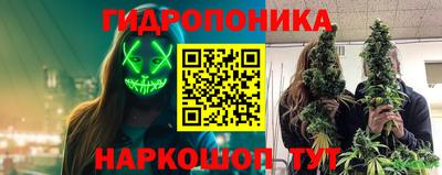 метадон Кимры