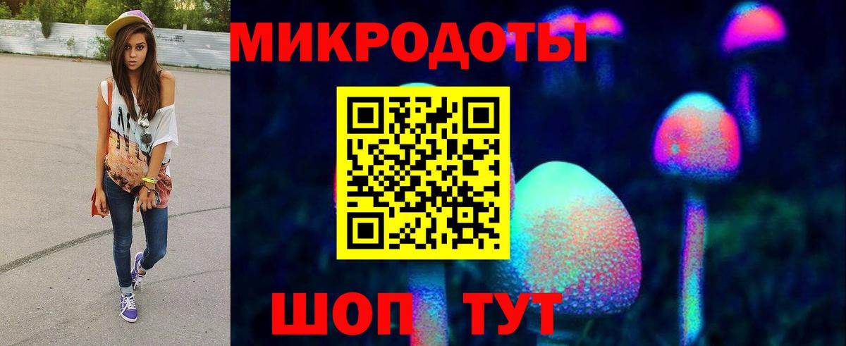 Псилоцибиновые грибы Cubensis Лянтор